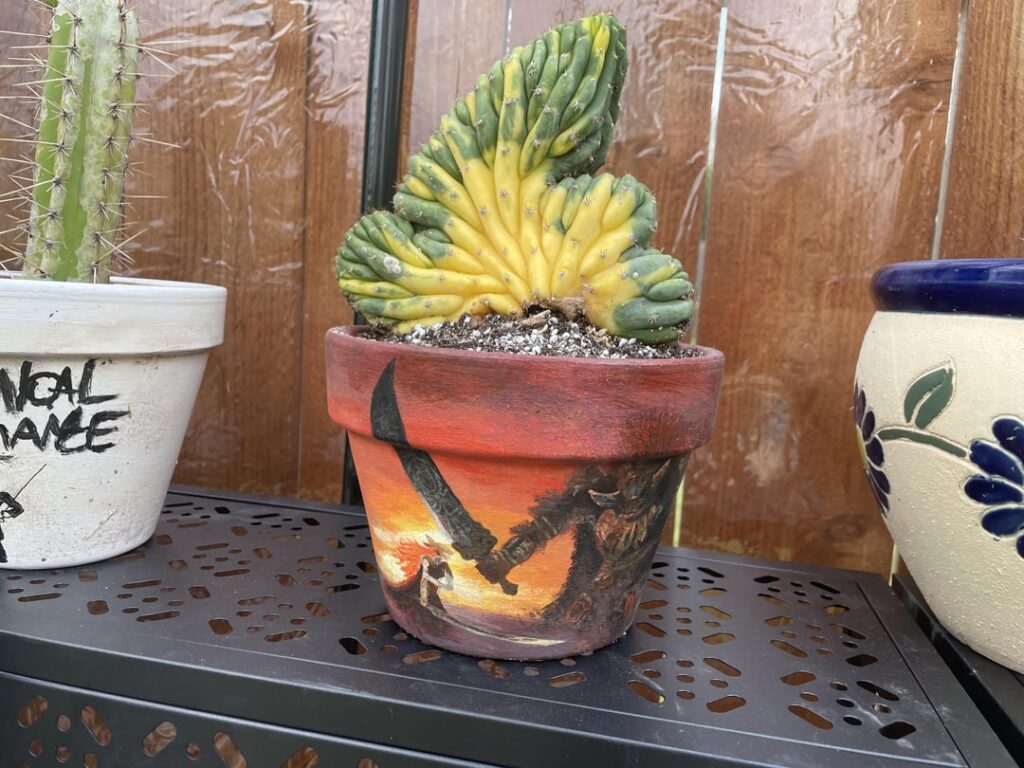 Crested Variegated San Pedro in an ER pot I painted
