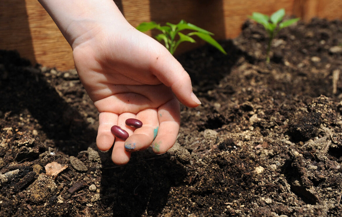 How to determine what size garden you need to feed your family