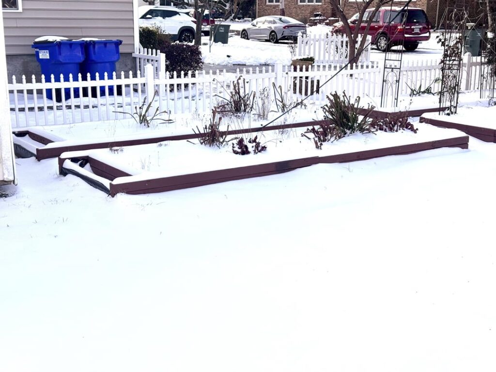 Raised bed bogs, January through May