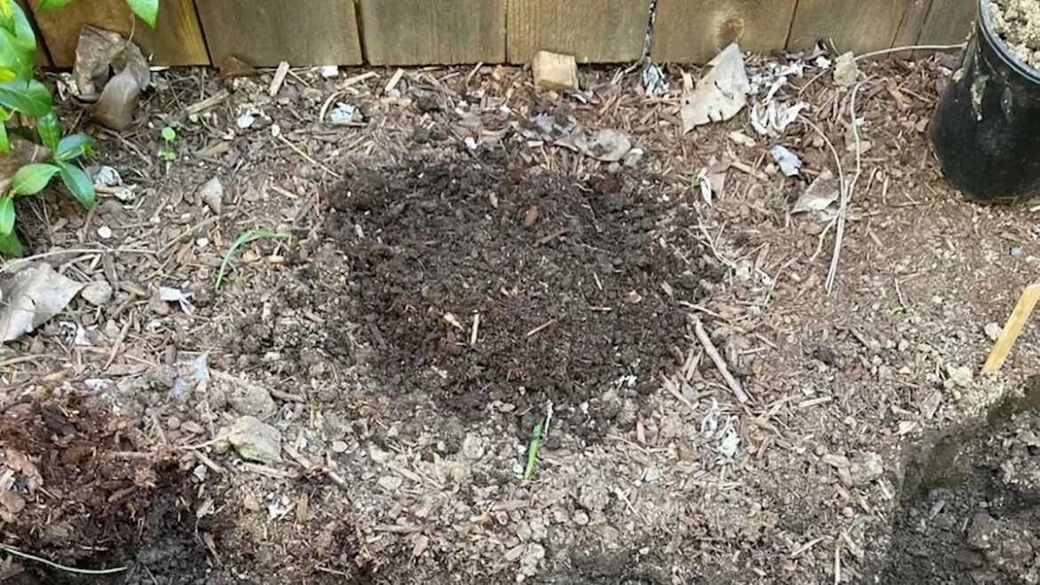 Homeowner discovers mysterious object while digging in backyard: ‘What could it be?’ Yahoo lifestyle home