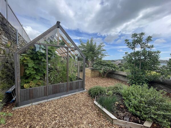 The greenhouse is home to growing vegetables and herbs. 