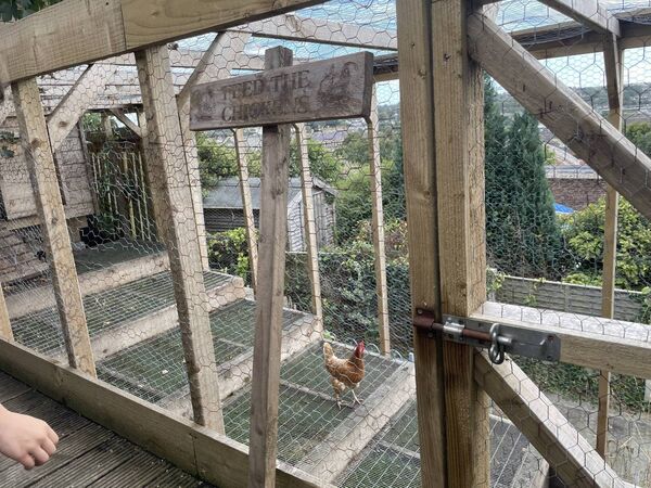 The chicken coop at the end of the garden. 