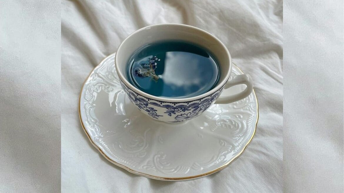 Kem Ormond’s garden: How to plant a mocktail garden for delicious summer drinks Kem Ormond’s garden: How to plant a mocktail garden for delicious summer drinks