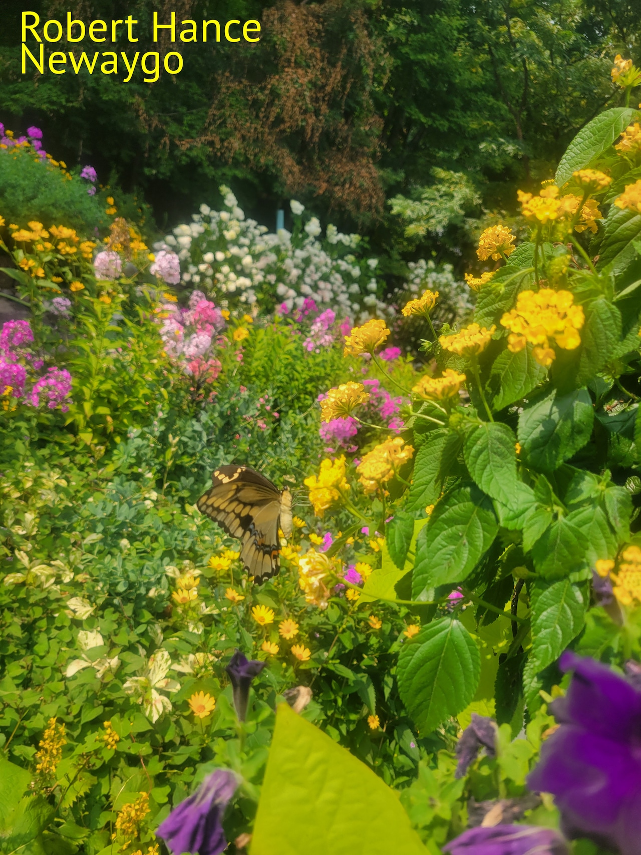 Flower Garden