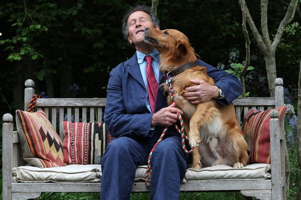 Photo of BBC Gardeners' World presenter Monty Don, wearing a blue suit and tie, sitting on a bench and posing with his Golden Retriever dog Ned. They are promoting the RHS Chelsea Flower Show 2025.