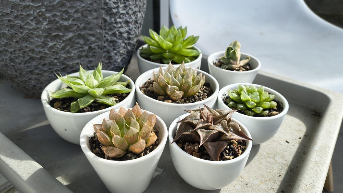 One of these things is not like the others