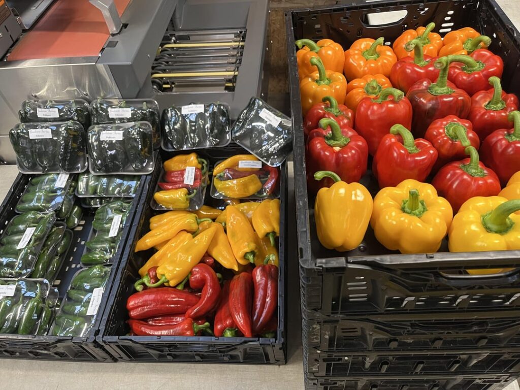 Harvest Day!
