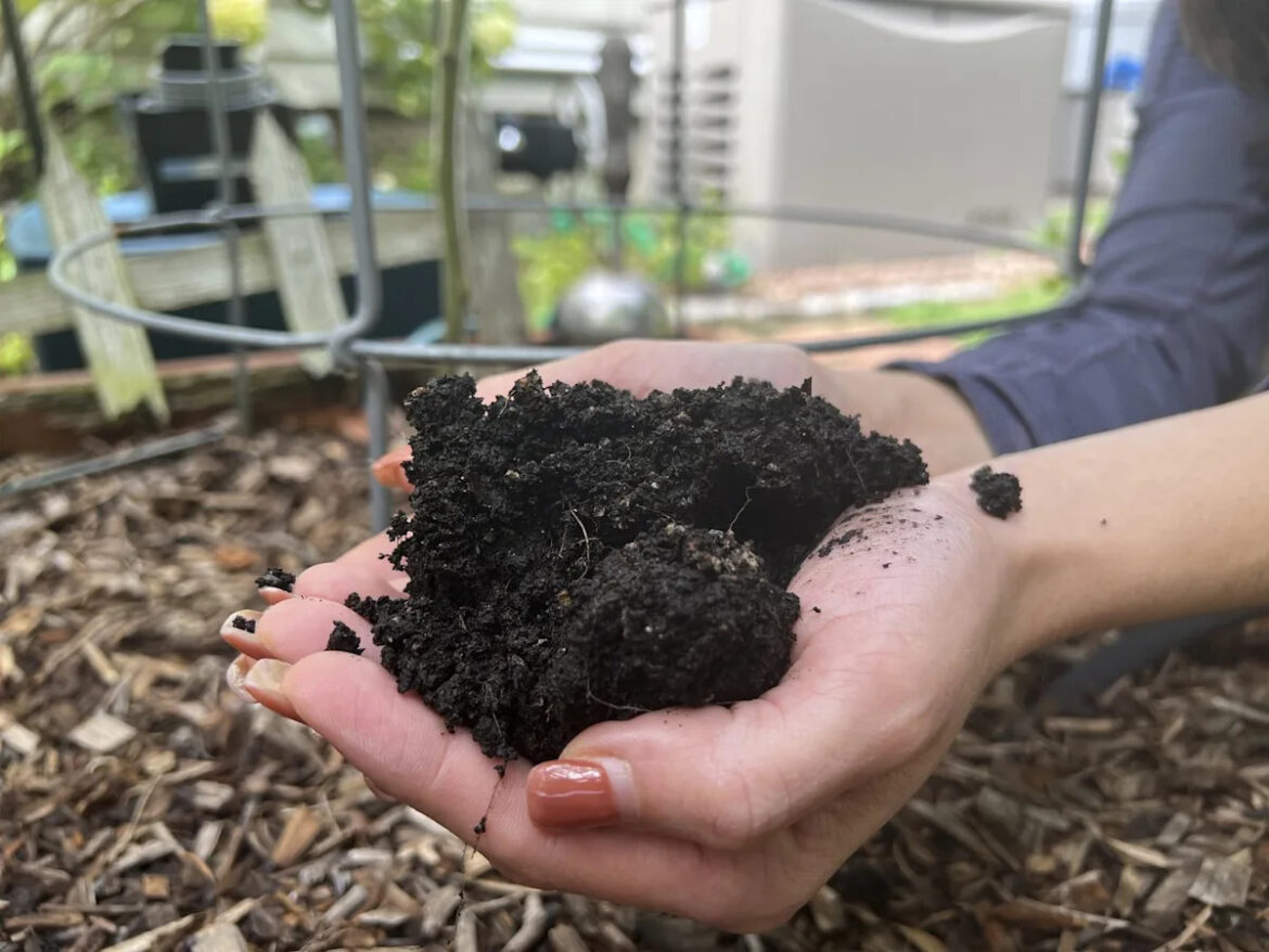 How digging in the dirt could bolster mental wellbeing How digging in the dirt could bolster mental wellbeing