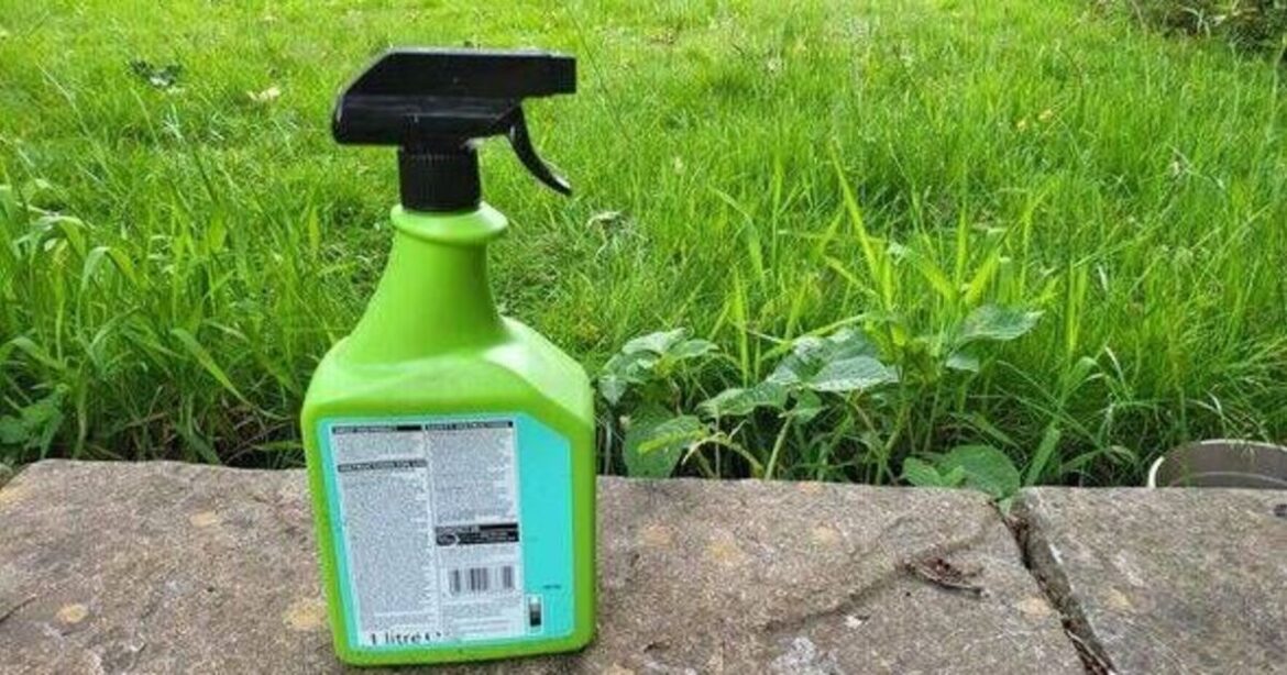 Gardeners warned chemical weedkillers can harmful around your plants Gardeners warned chemical weedkillers can harmful around your plants