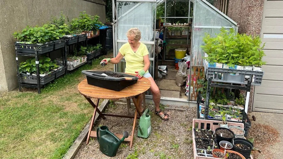 Janet Willoner sits at a wooden table in her garden, in front of a greenhouse. She wears a yellow t-shirt and green gardening gloves, working on a large black bucket filled with soil on the table in front of her. Shelving units with plants can be seen behind her.