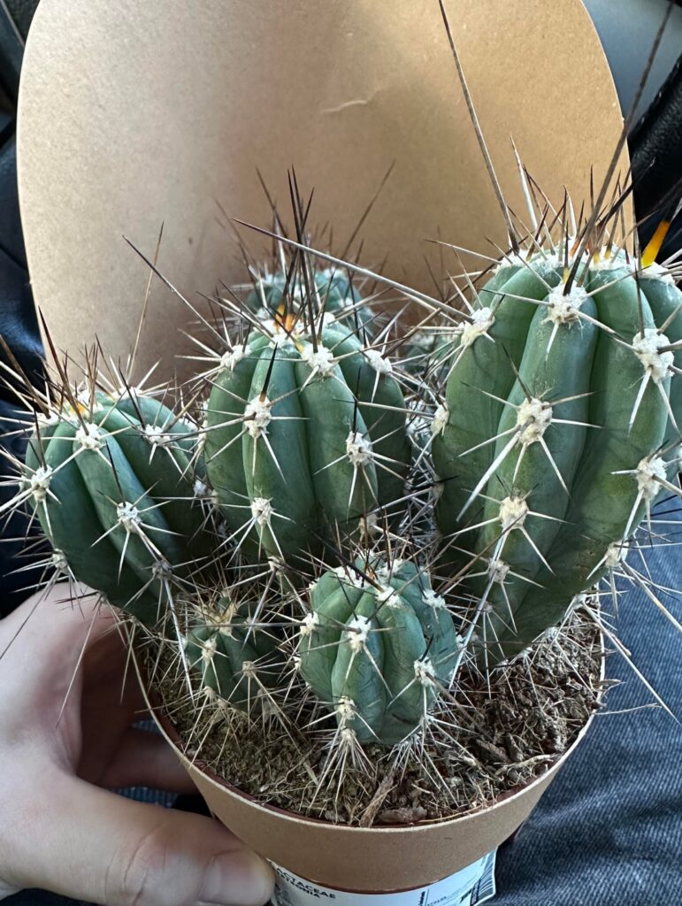 Just got this Just got this