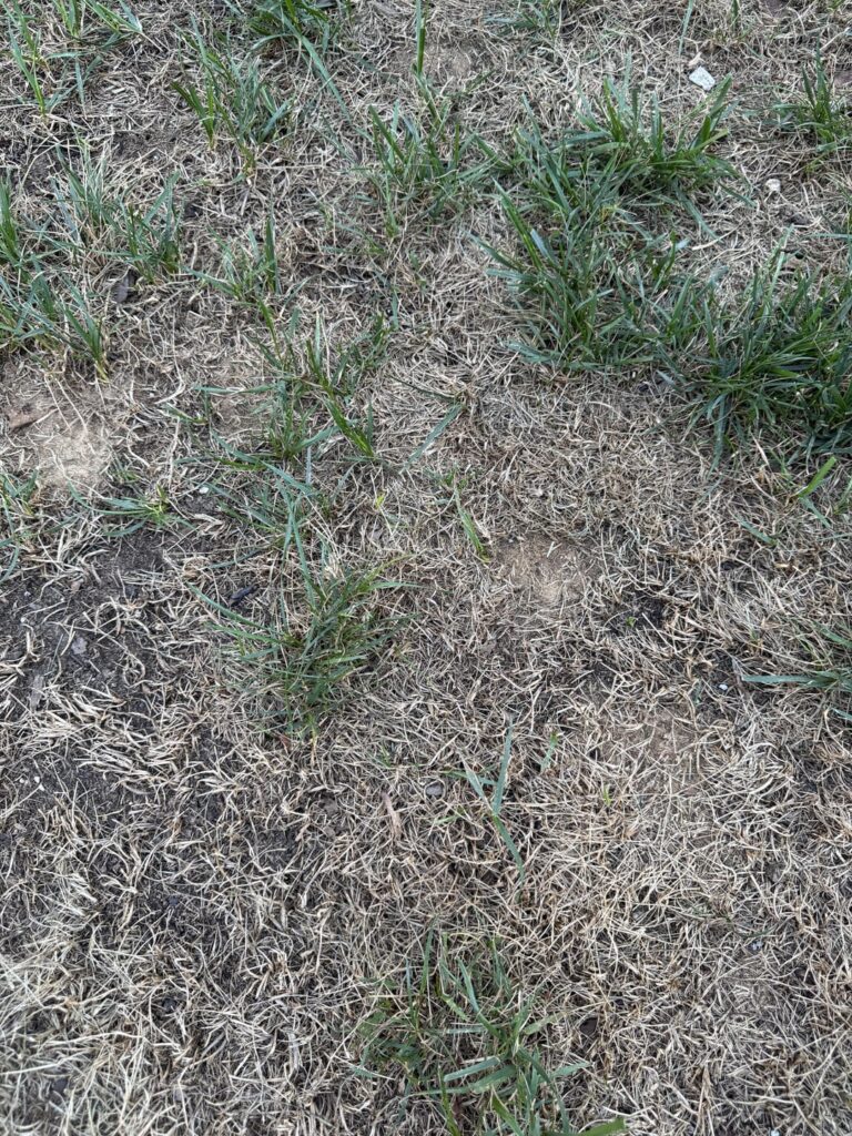 WTF happened - northern Virginia