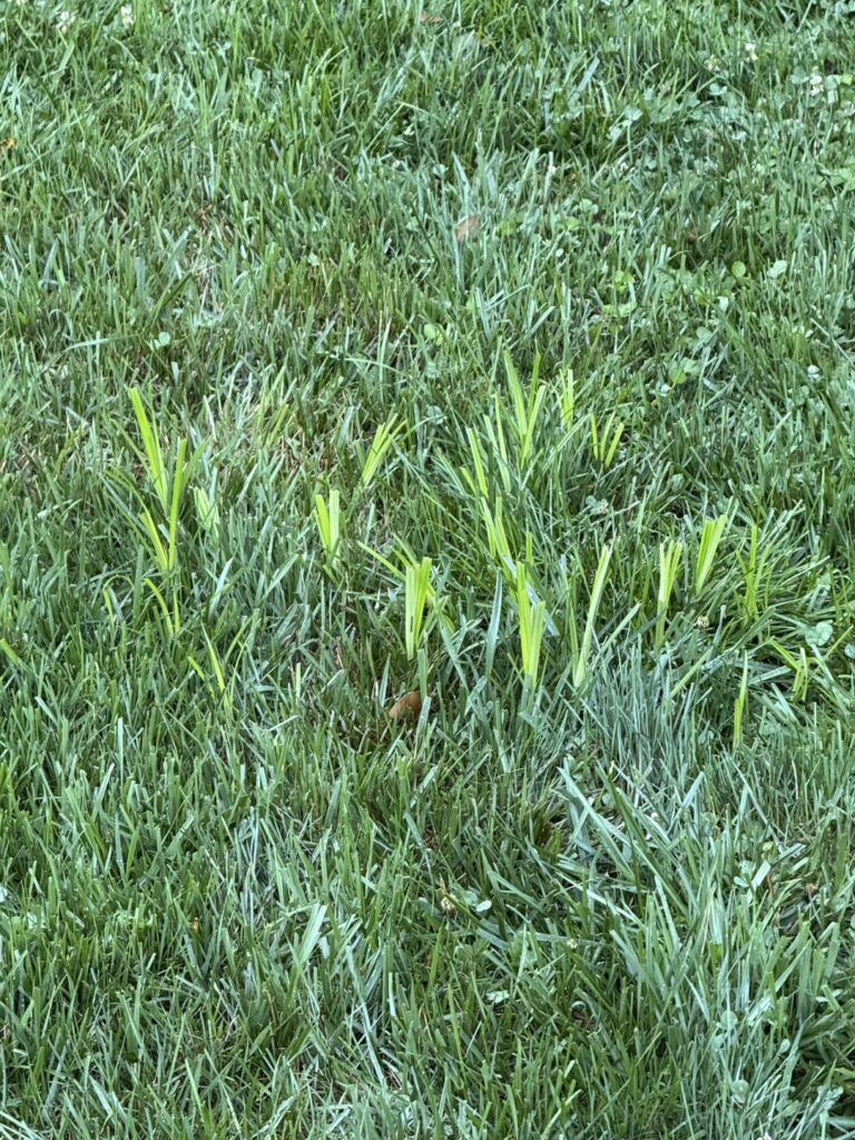 What am I dealing with? Zone 7A What am I dealing with? Zone 7A