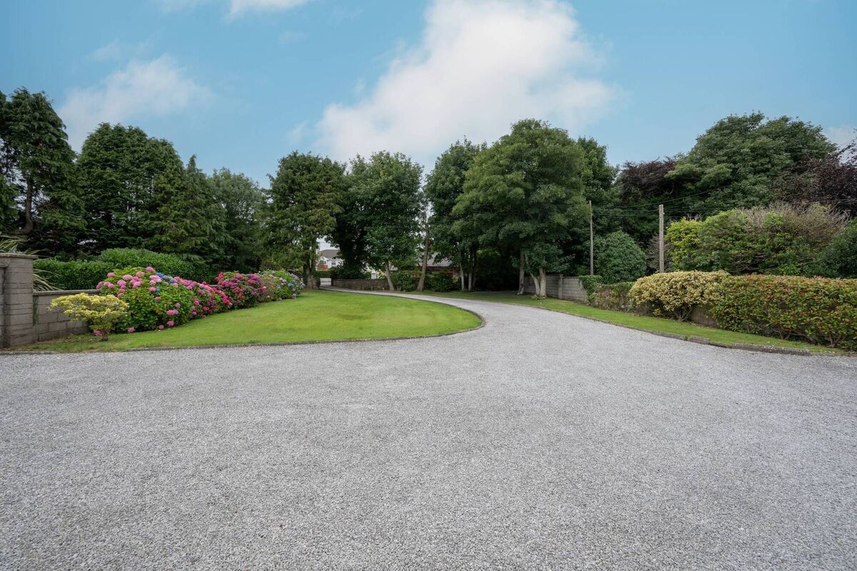 Front garden and driveway at The Willows