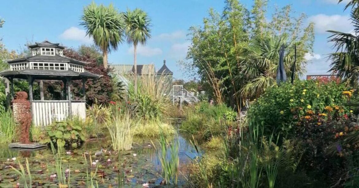 A garden alpine paradise right on our doorstep