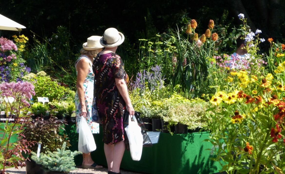 Bank holiday treat for plant lovers at the Dorothy Clive Garden Dorothy Garden Summer Plant Hunters' Fair
