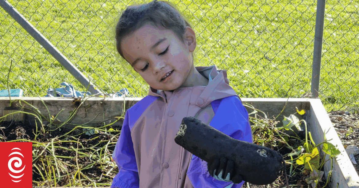 South Auckland preschoolers gardening veggies to take home