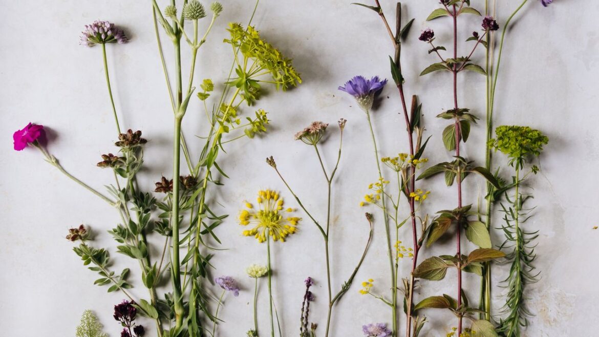 Sarah Price’s ideas for a naturalistic and sustainable planting scheme Sarah Price's ideas for a naturalistic and sustainable planting scheme