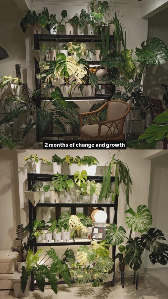 2 Months of change and growth