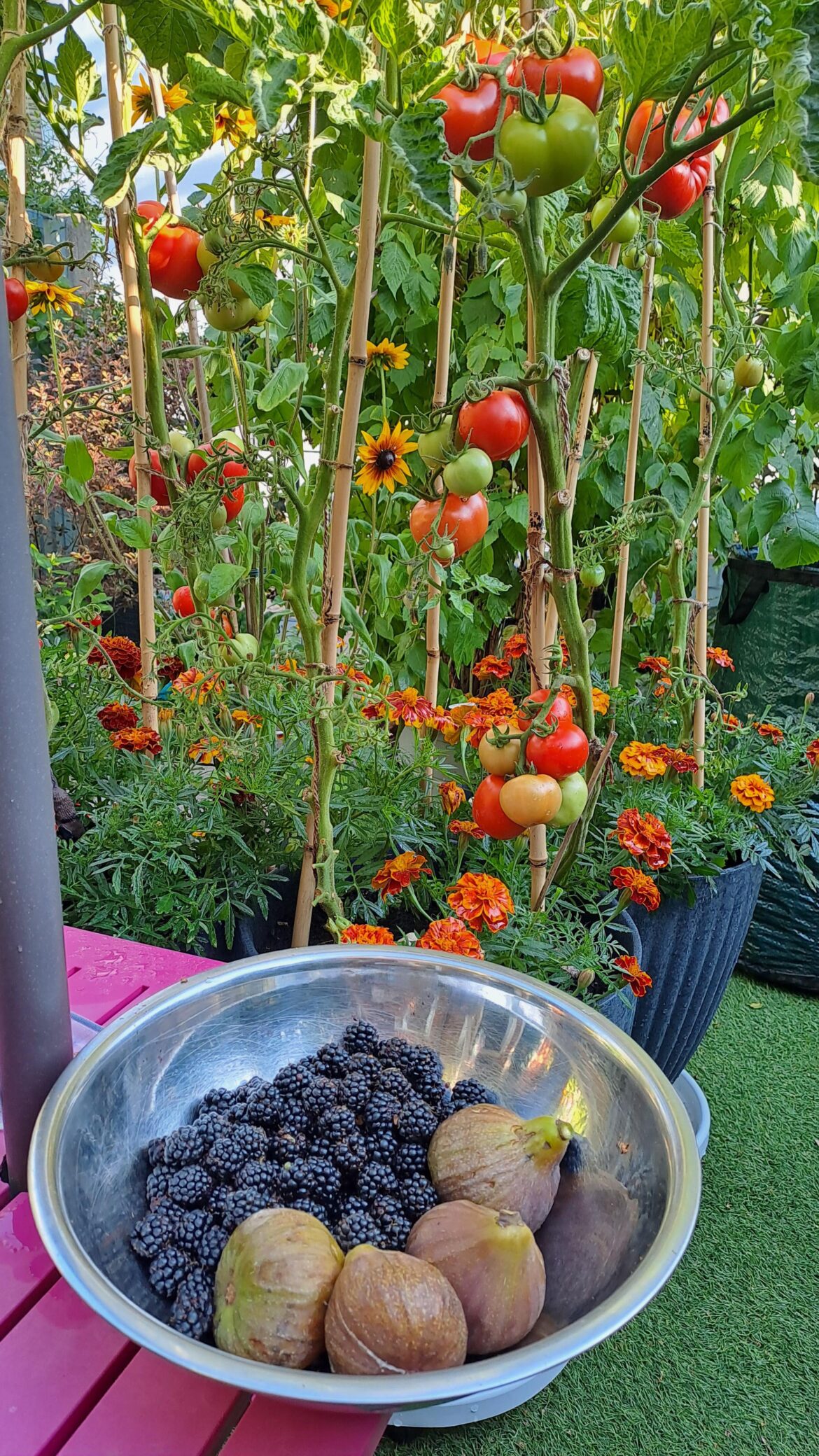 Nice little harvest.