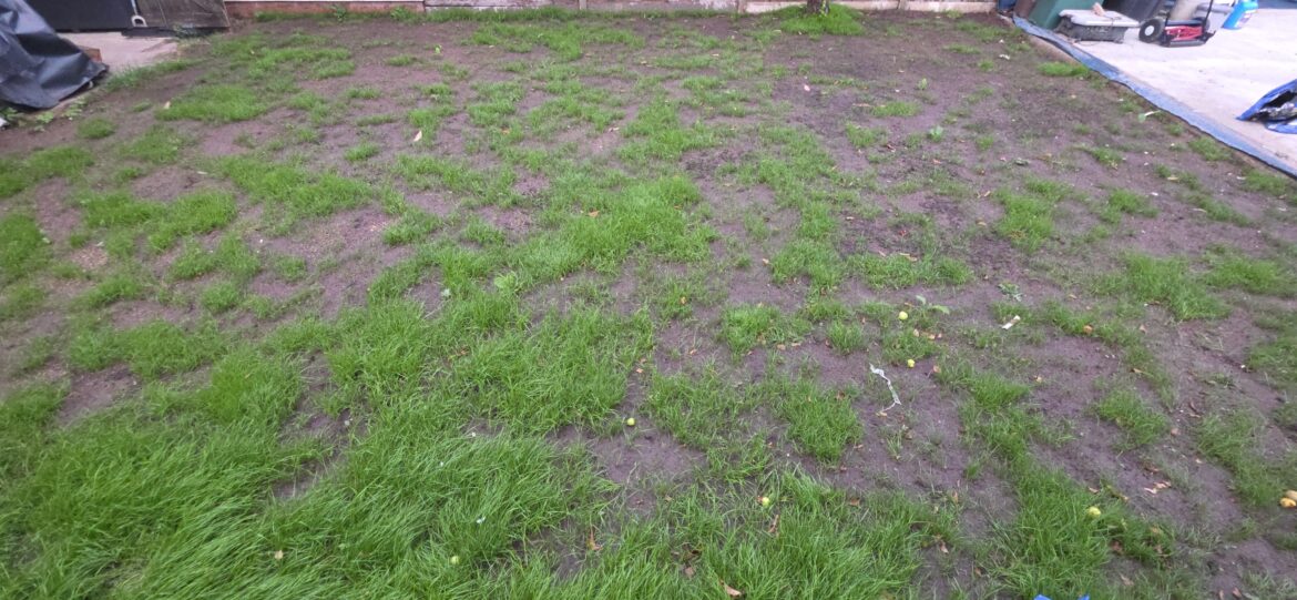 Grass Growing tips/help