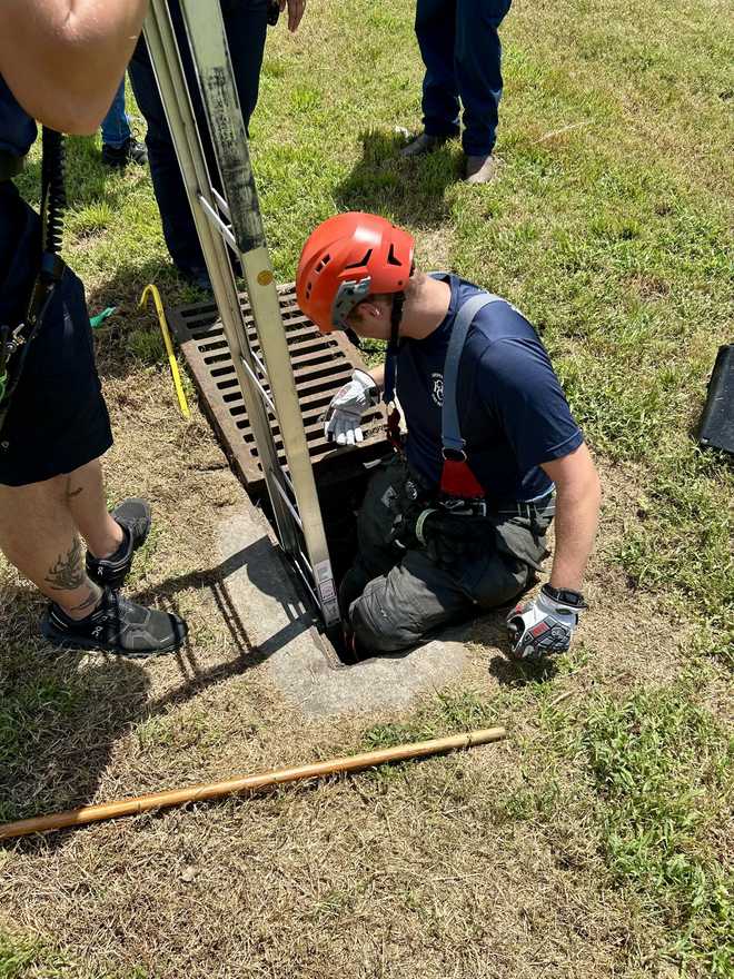 garden city fire-rescue saves ducklings from storm drain