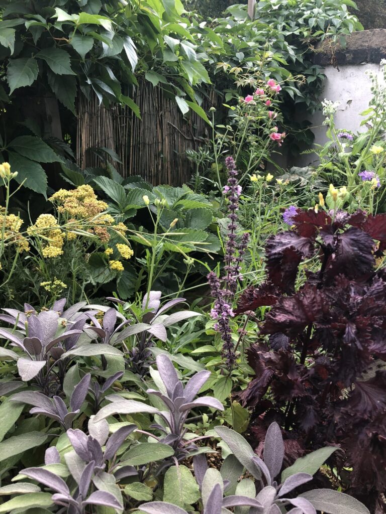 Little NE facing balcony garden in London