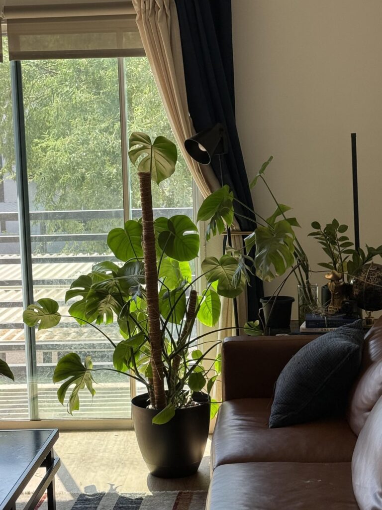 Is it time for a new pot? Is it time for a new pot?