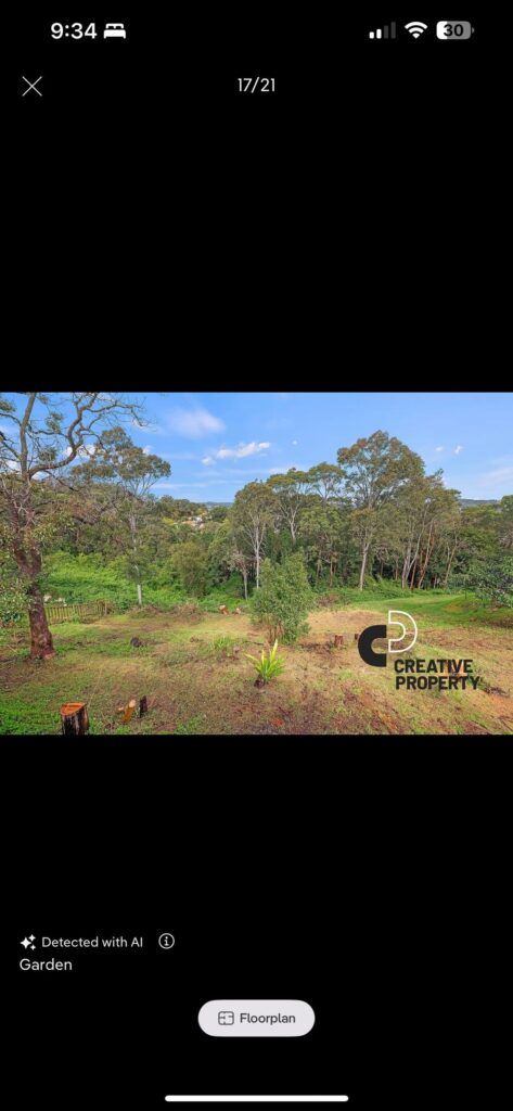 Large Backyard. What would you do?