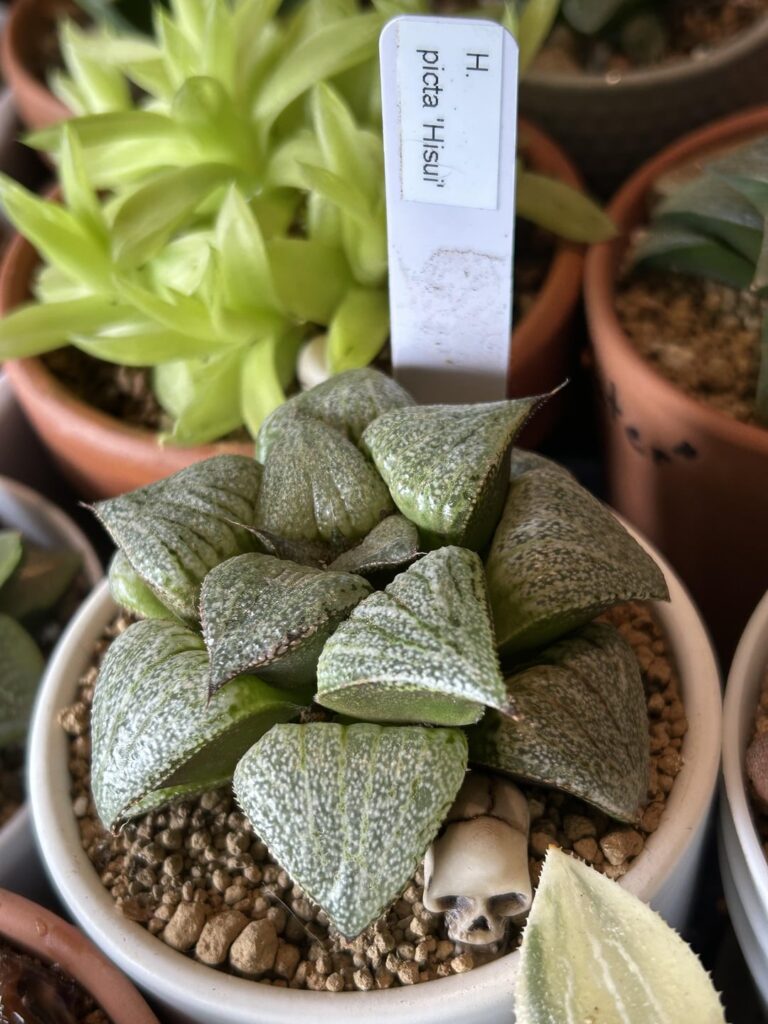 Propagation advice Propagation advice