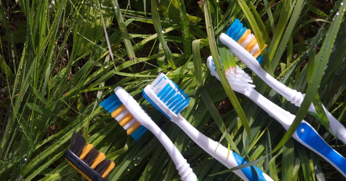 Reason why gardeners should take toothbrush outside this summer