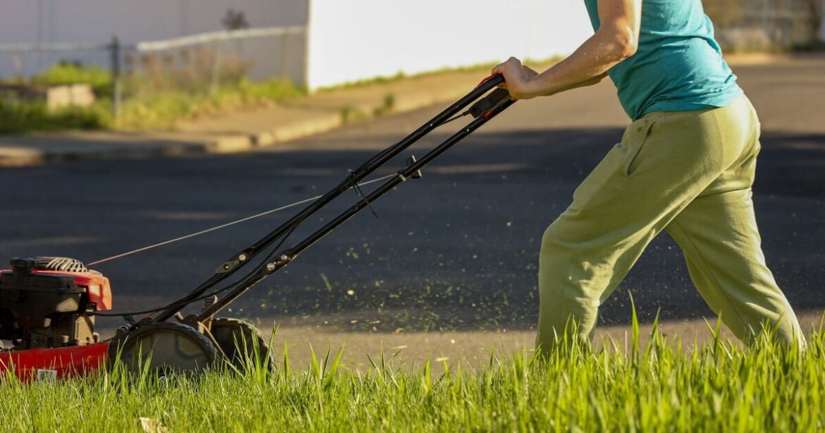 Lawns won't turn brown this summer if 1 key is done in August