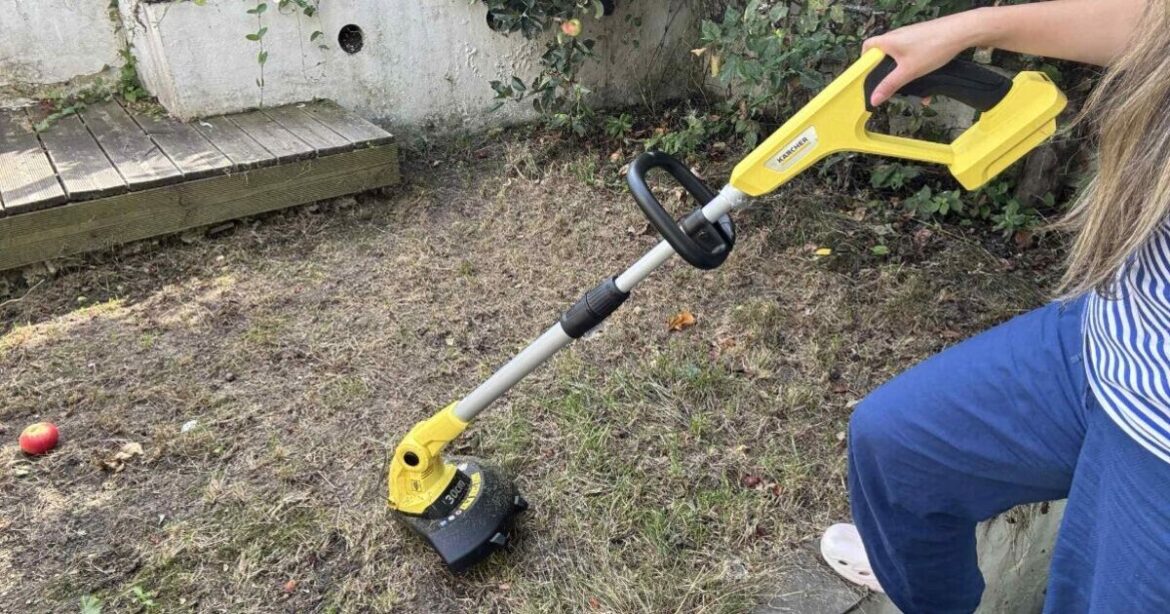 ‘I tidied my garden with Karcher’s grass trimmer – it saved my aching back’ 'I tidied my garden with Karcher's grass trimmer – it saved my aching back'