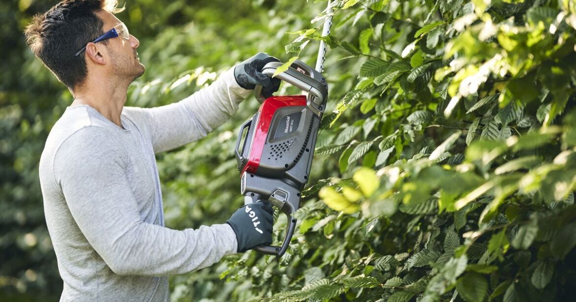 Gardeners cutting hedges in August face fine and jail time warning Gardeners cutting hedges in August face fine and jail time warning