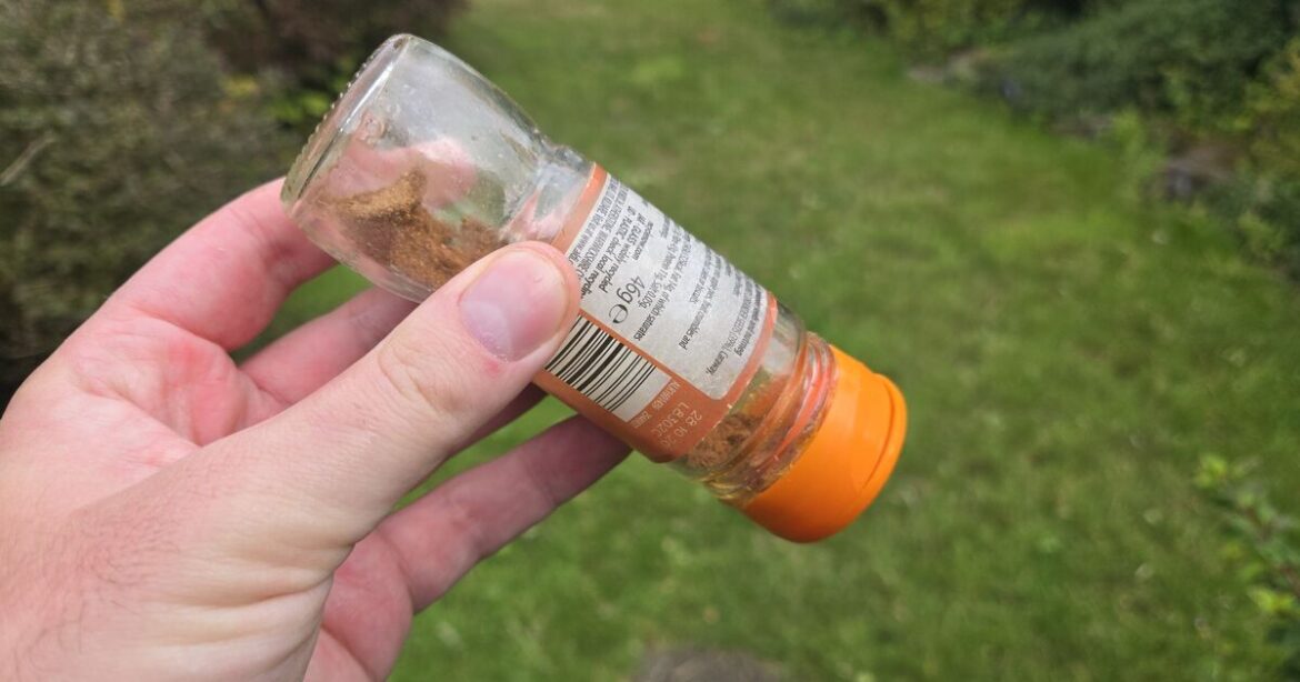 Gardeners urged to scatter curry powder on lawns