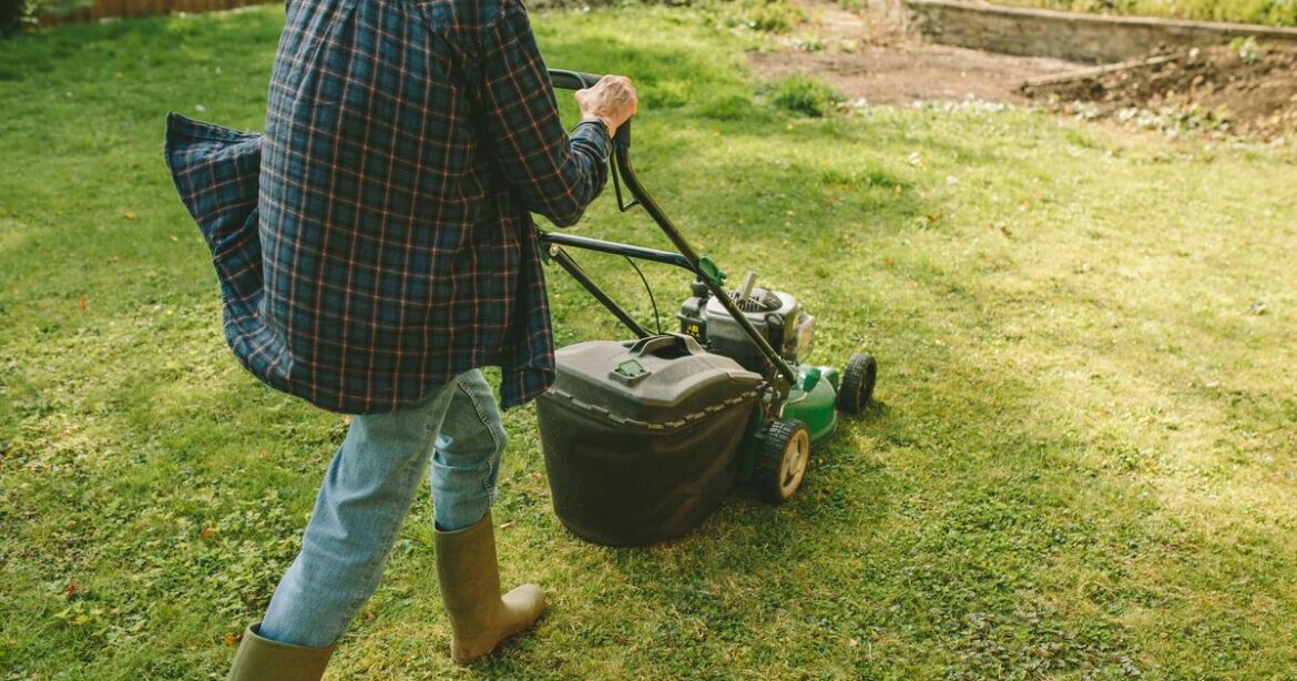 How to boost your home’s value by doing just 5 jobs in your garden How to boost your home's value by doing just 5 jobs in your garden