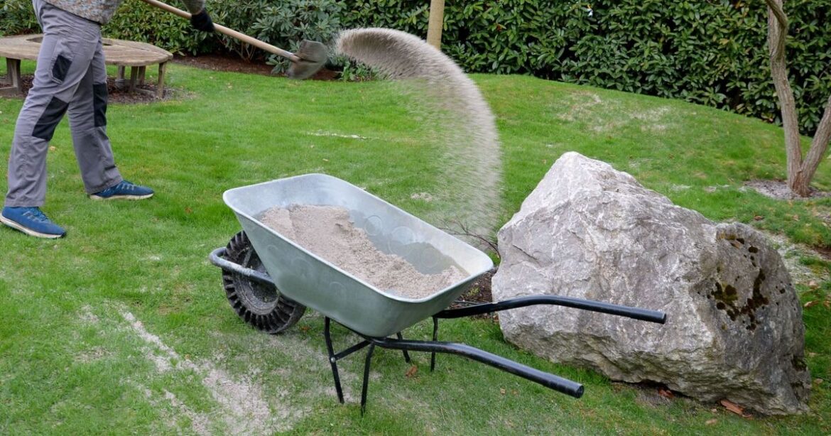 Gardeners urged to pour sand on lawn