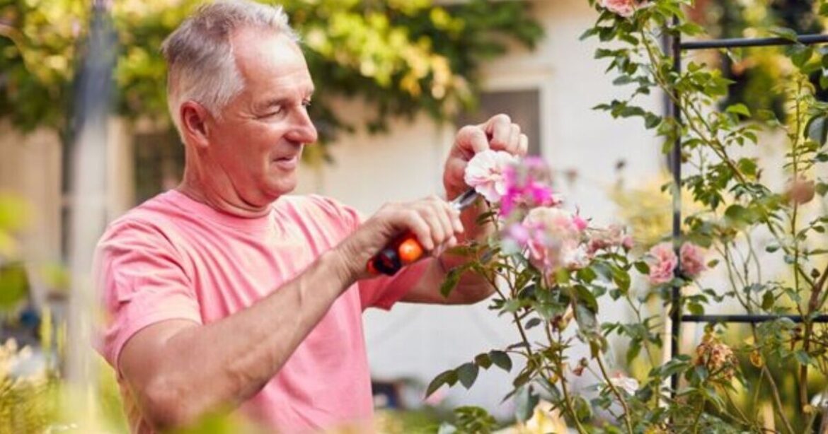 Gardeners urged to complete 1 urgent task this August Gardeners urged to complete 1 urgent task this August