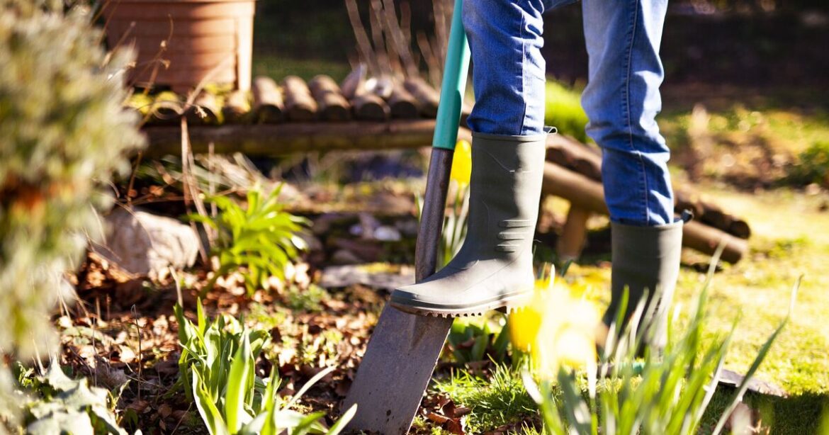 Gardener shares five jobs to do now to prepare garden for autumn
