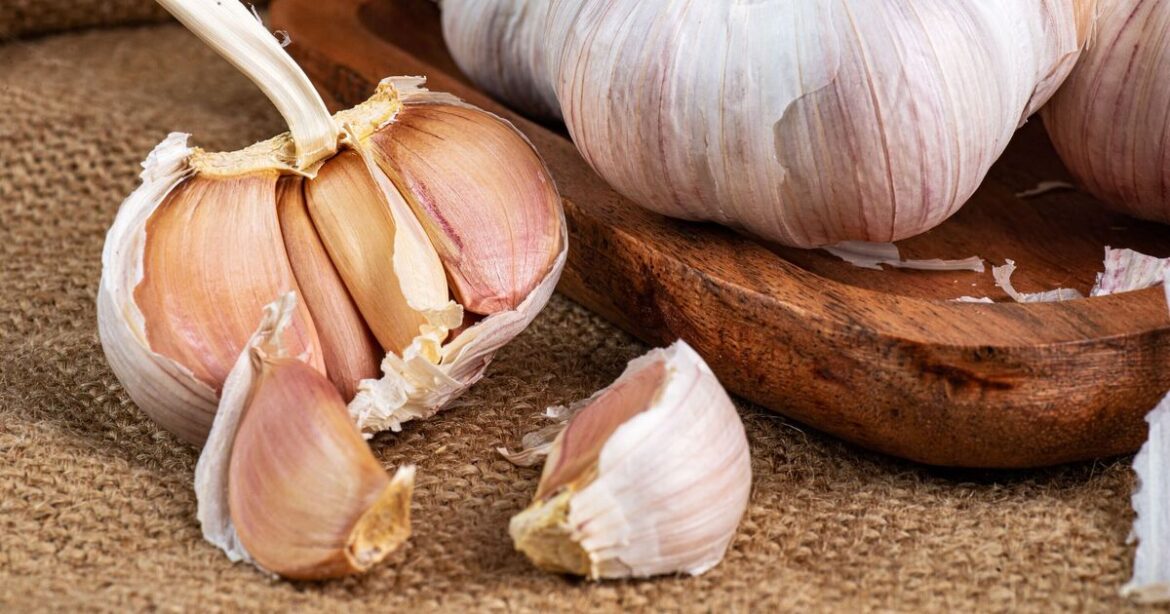 UK gardeners urged to buy garlic this week for 1 'brilliant' reason