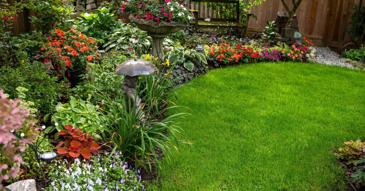 Alan Titchmarsh’s 30-second task will tell if your plants need water Alan Titchmarsh's 30-second task will tell if your plants need water