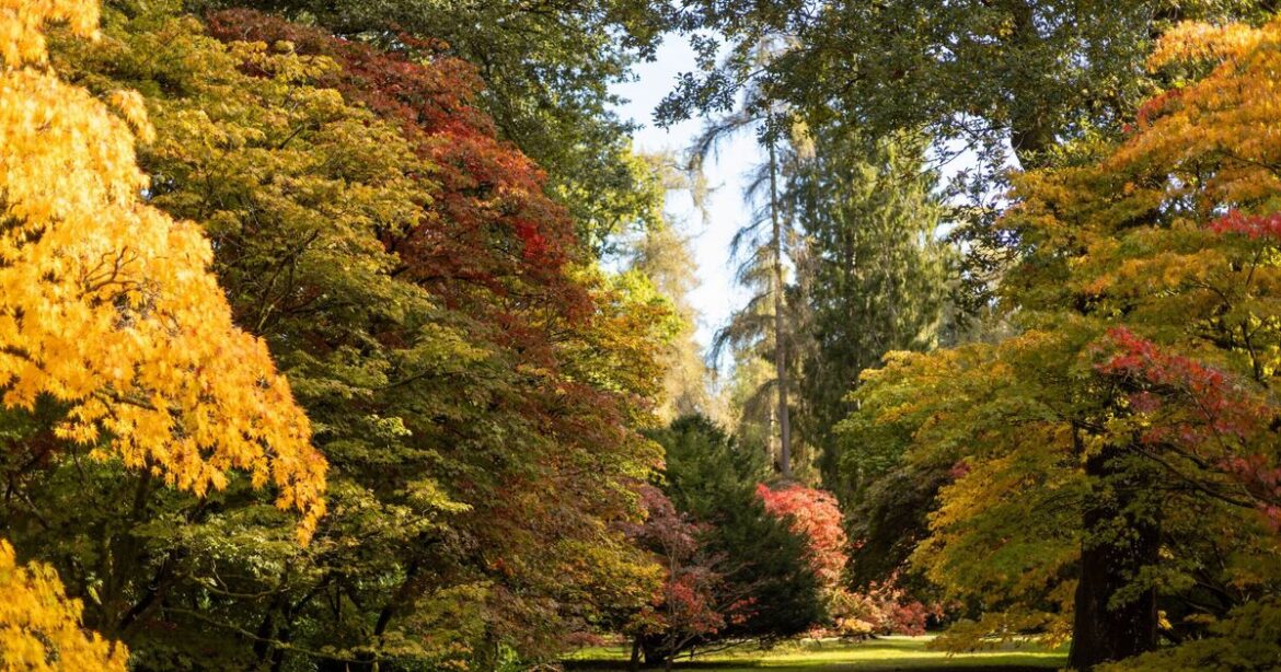 The pretty UK village dubbed 'the best place in world to visit in Autumn' | UK | News