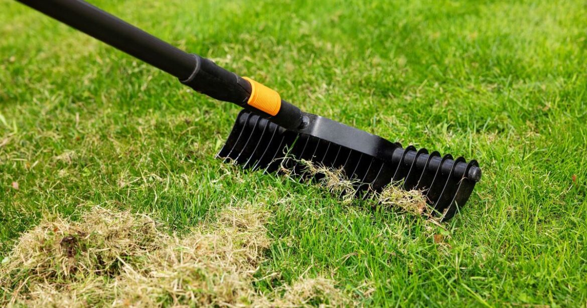 'I'm a gardening expert—there are 6 jobs every gardener should do now'