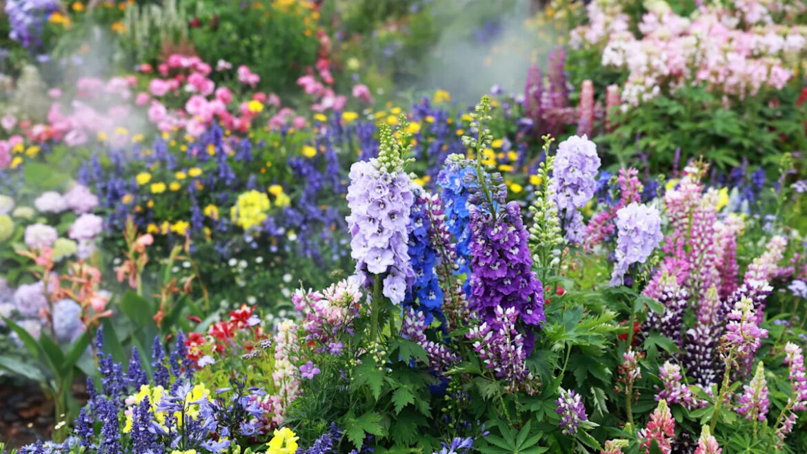 Yahoo lifestyle home