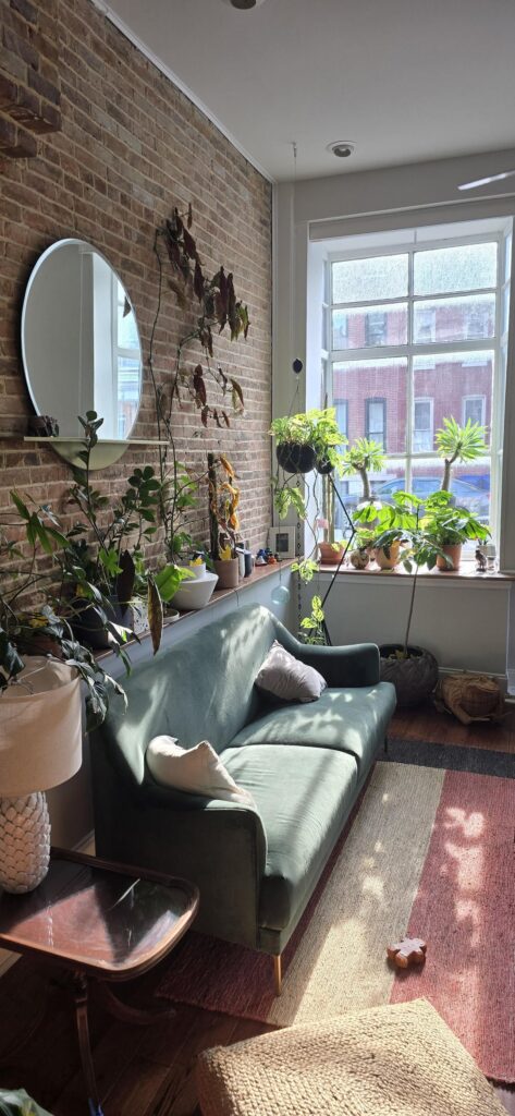 My lovely indoor garden