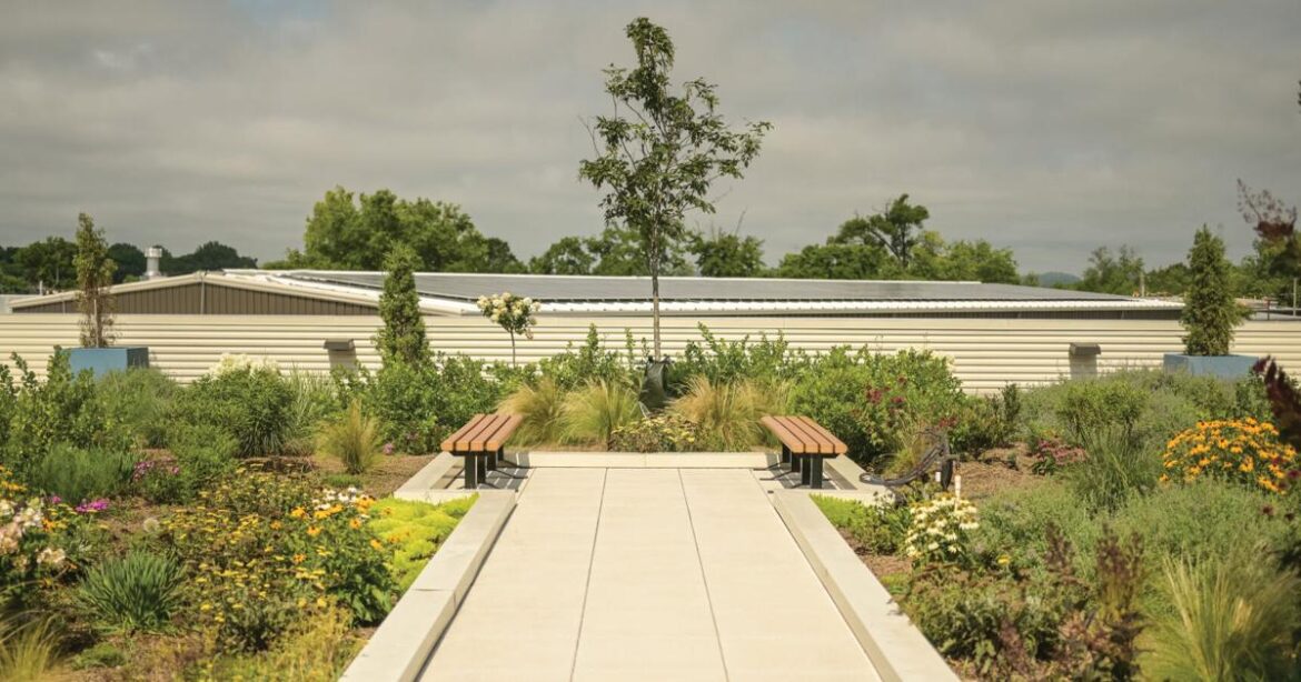 Metro Water’s Educational Rain Gardens Seed Ideas for Sustainable Landscaping at Home | People + Places