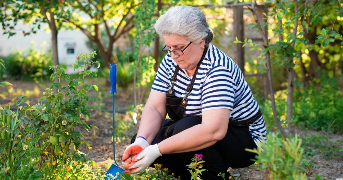 UK Gardeners Urged To Start These Key August Tasks Now UK Gardeners Urged To Start These Key August Tasks Now