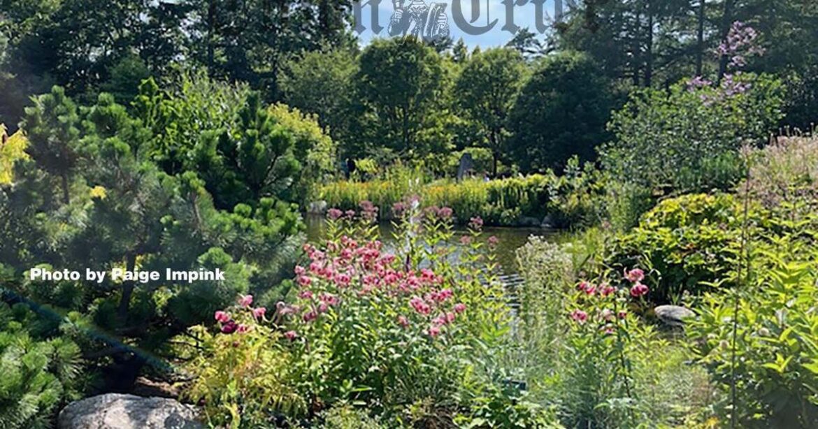 Walking among giants in the Coastal Maine Botanical Gardens | News Walking among giants in the Coastal Maine Botanical Gardens | News