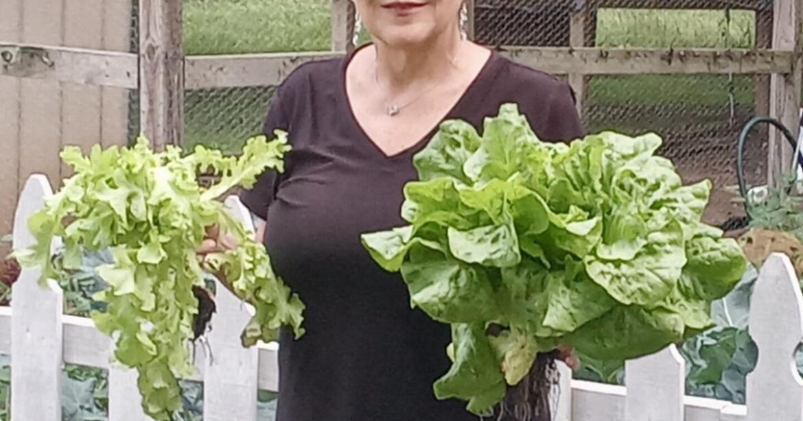 Master Gardeners present ‘Dig Into Fall’ program Aug. 28 | News