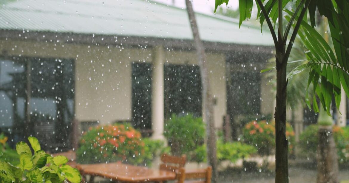 Protect your garden from hurricanes too